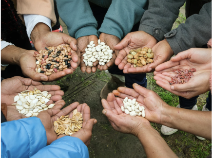 Seed savers hands