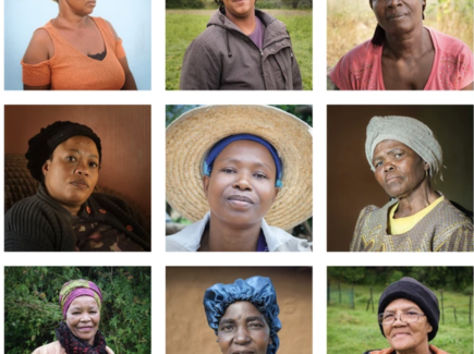 Some of the Seed Guardians of Southern Africa